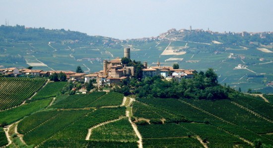 The Langhe, Piemonte The Langhe, Piemonte