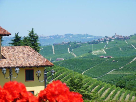 View out over the vineyards from Brezza View out over the vineyards from Brezza