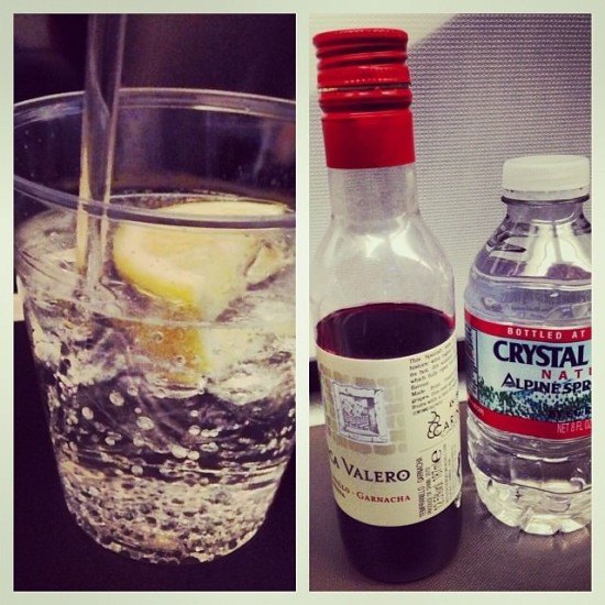 Pre dinner Gin & Tonic and Dinner drinks