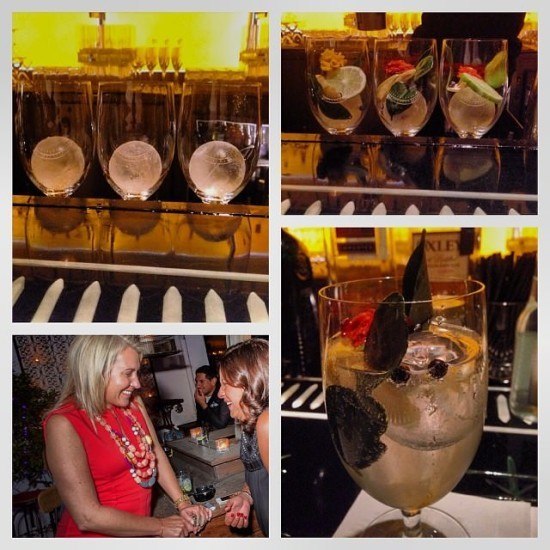 The Ultimate Gin & Tonic