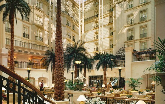 The fabulous winter garden