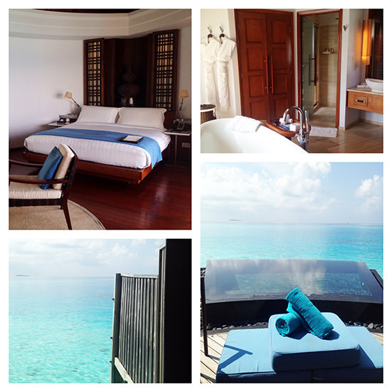 A fantastic room indeed. And loved the view from our shower.