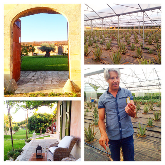 A beautiful property and who knew there was so much to know about Aloe Vera?