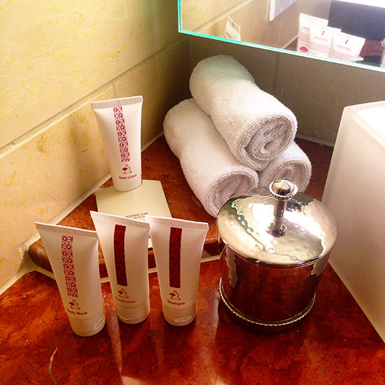 Toiletries and vanity kit