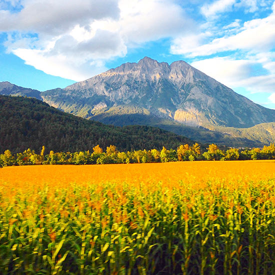 Somewhere in Switzerland... potentially...