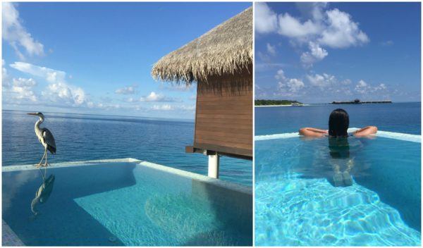 Coco Bodu Hithi Maldives Sovereign Luxury Travel Escape Water Villa Pool