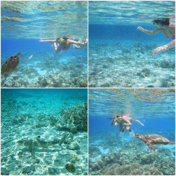 Coco Bodu Hithi Maldives Sovereign Luxury Travel welcome
