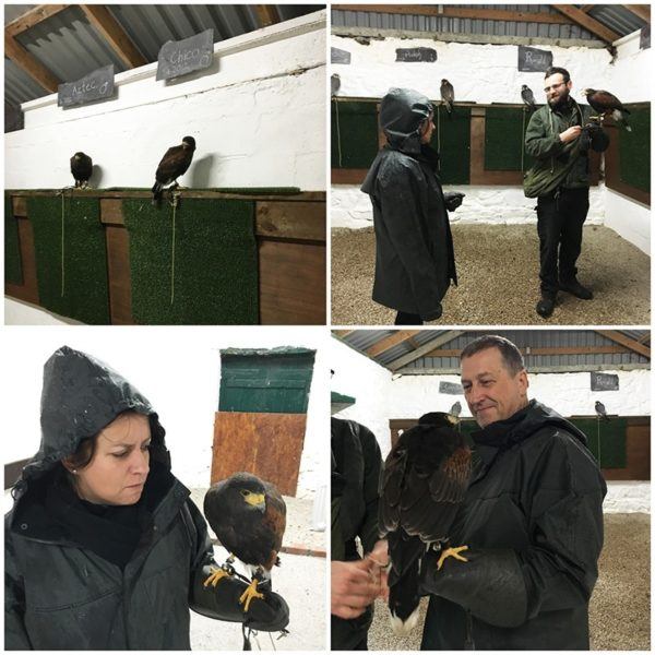 ashford castle luxury hotel ireland irish school of falconry