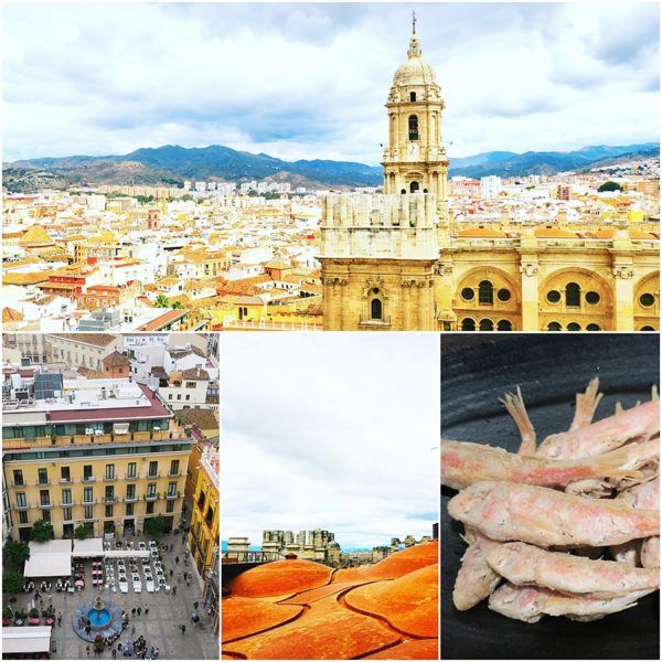 luxury villa holiday in marbella malaga tapas tour toma tours toma coe private food tour malaga catedral luxury villa collection marbella 2