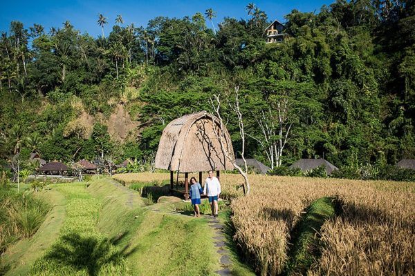 ritz carlton reserve mandapa bali ubud luxury hotel 25