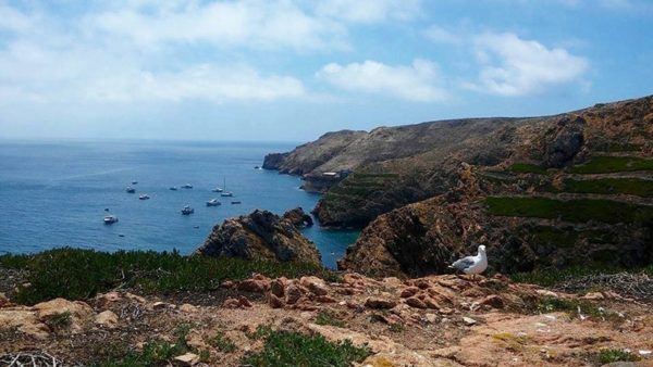 mrs o and friends best of summer berlengas portugal