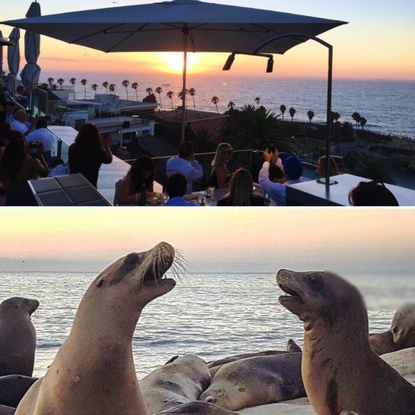 mrs o and friends best of summer la jolla san diego