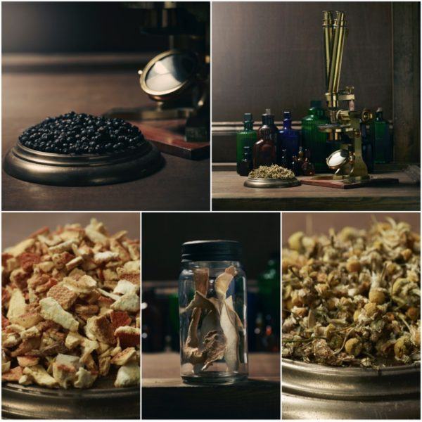 The Hendrick's Beginners Guide to Gin