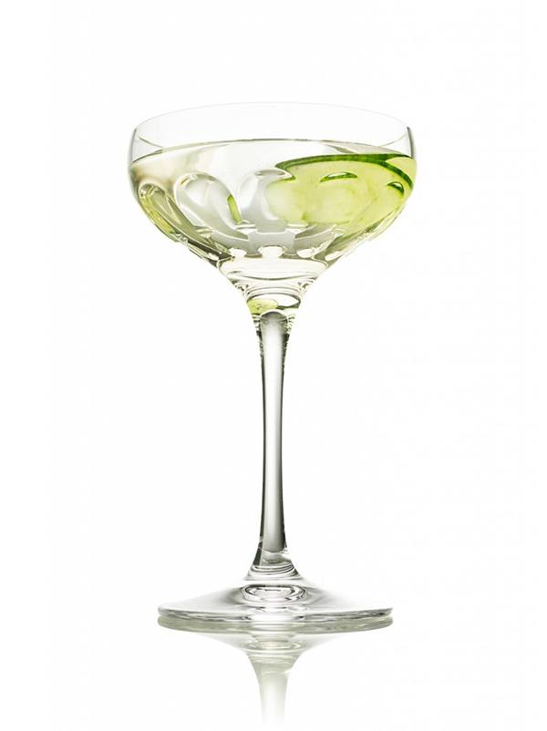 The Hendrick's Beginners Guide to Gin
