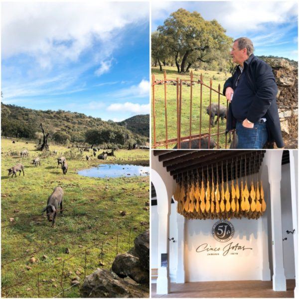 luxury weekend in seville with days out to jerez and jabugo cinco jotas best iberico ham visit 1