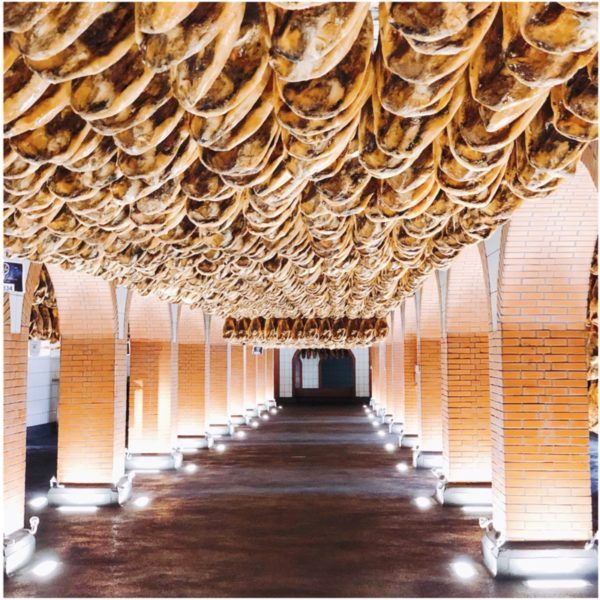 luxury weekend in seville with days out to jerez and jabugo cinco jotas best iberico ham visit jamon iberico de bellota visita 2