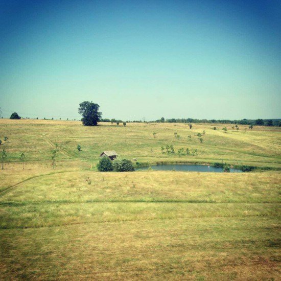 The British countryside that I love...