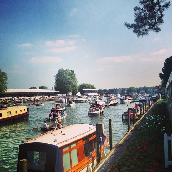 A view of the river Thames from Phyllis Court's side