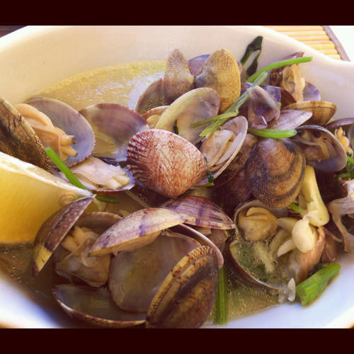 Ameijoas à Bulhão Pato - clams with wine wine, garlic and coriander Ameijoas à Bulhão Pato - clams with wine wine, garlic and coriander