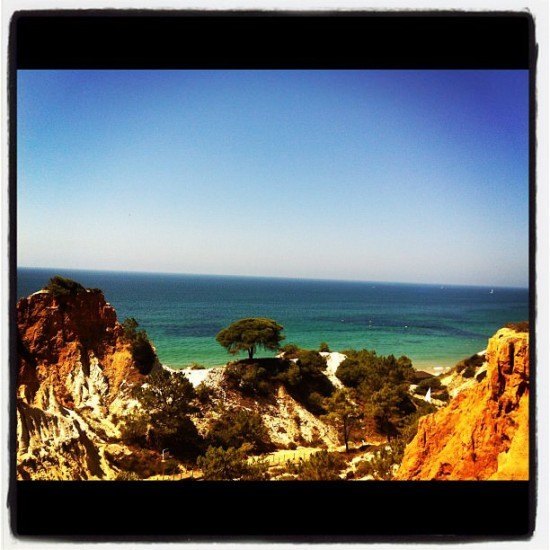 Not a bad view, is it?
