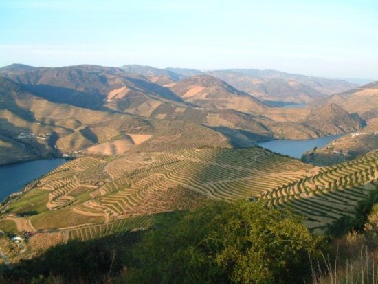 Sunset at the Douro Valley, Portugal Sunset at the Douro Valley, Portugal