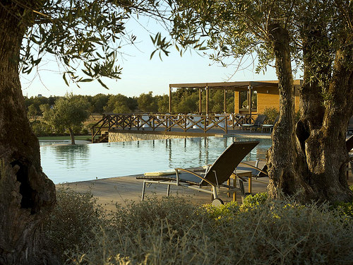A bit of sun and a bit of snooze - Mrs. O likes the pool and the spa (photo by SPG.com) A bit of sun and a bit of snooze - Mrs. O likes the pool and the spa (photo by SPG.com)