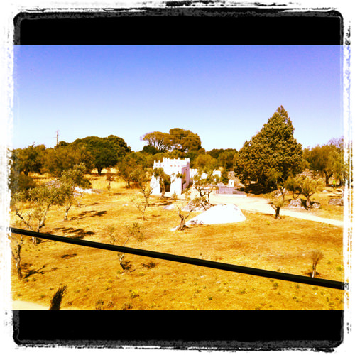 A room with a view - Convento do Espinheiro A room with a view - Convento do Espinheiro