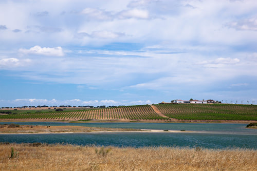 The scenery in Alentejo is stunning The scenery in Alentejo is stunning