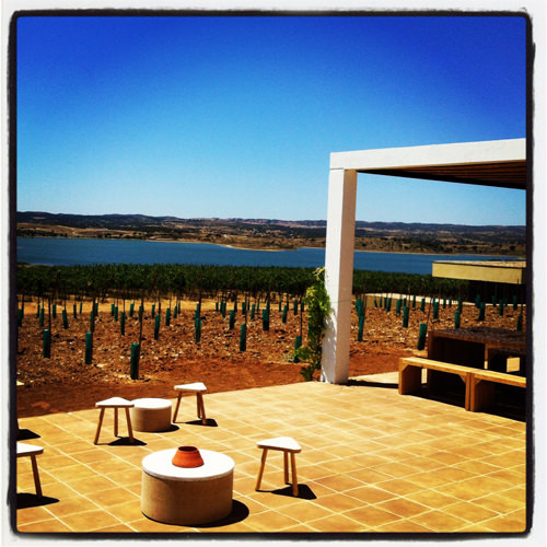 This was my welcoming view at Herdade do Esporão This was my welcoming view at Herdade do Esporão