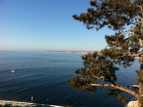 The view from Eddie V, La Jolla The view from Eddie V, La Jolla
