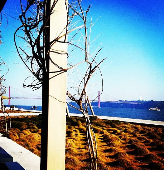 The river on a sunny day - Lisbon The river on a sunny day - Lisbon