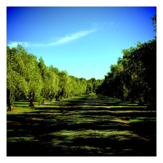 And this is just the entrance to OLIVO - what can I say?