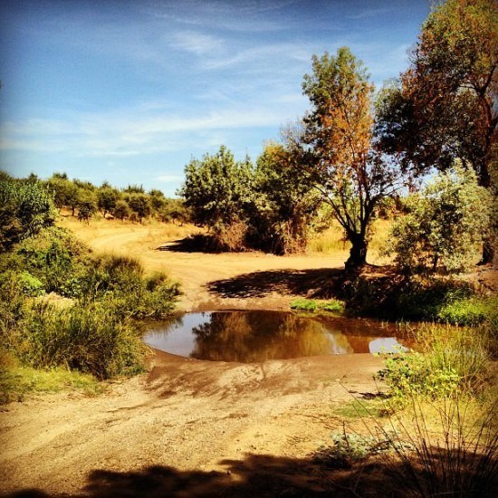 Trust Google Maps - yes, you will need to cross a little river with your car. And we survived without our SUV.